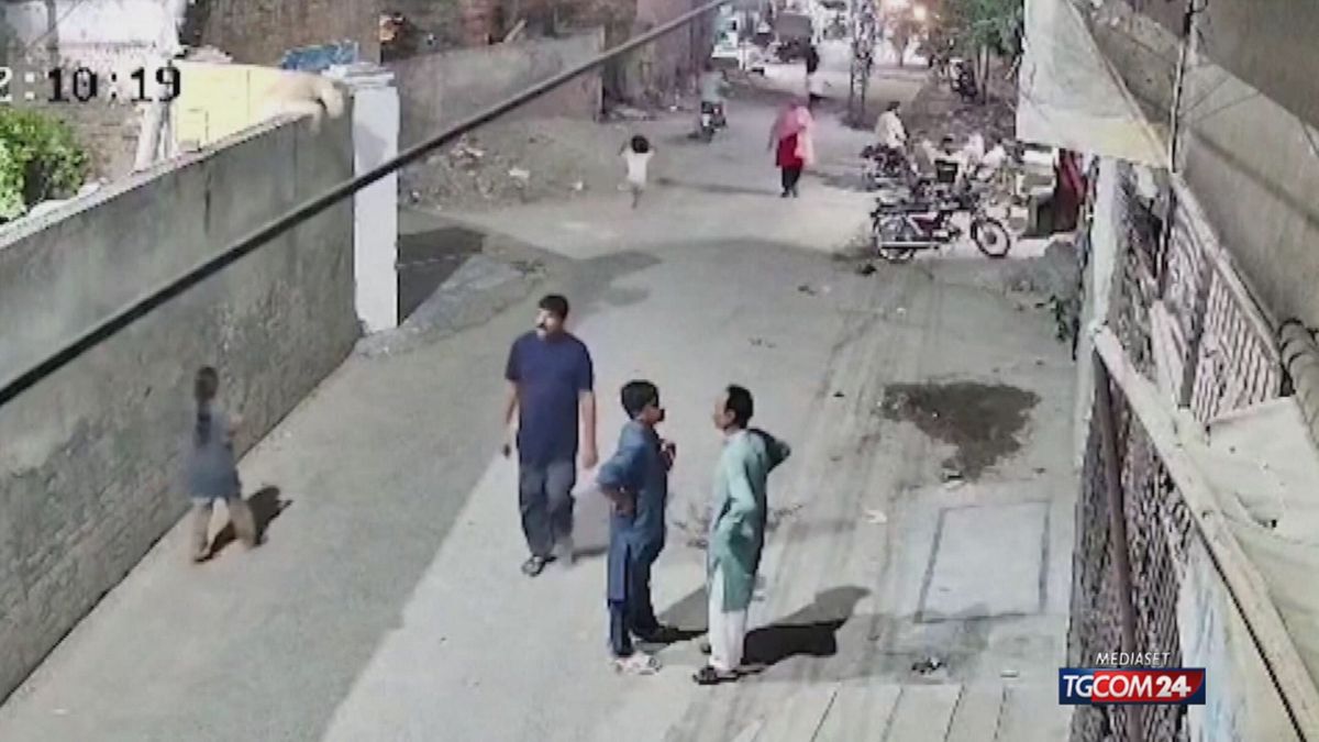 12.00 MCH PAKISTAN, LEONE ATTACCA DONNA IN STRADA MCH