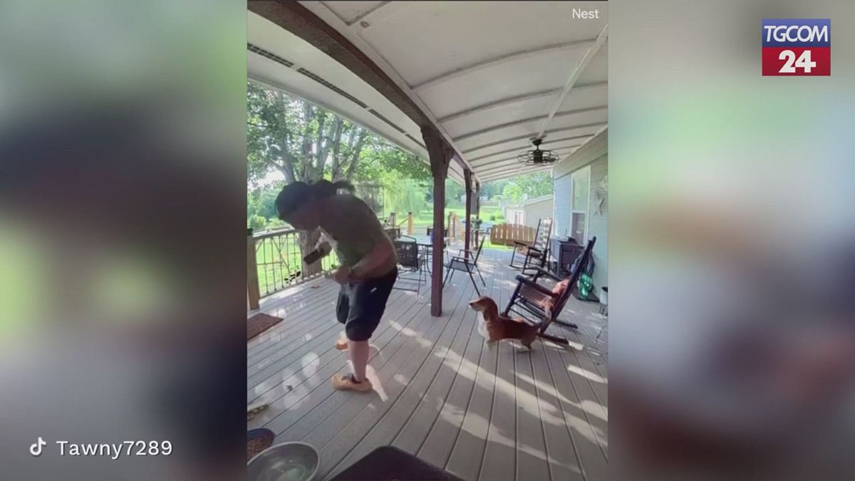 Scoiattolo aggredisce un uomo: il video fa il giro del web
