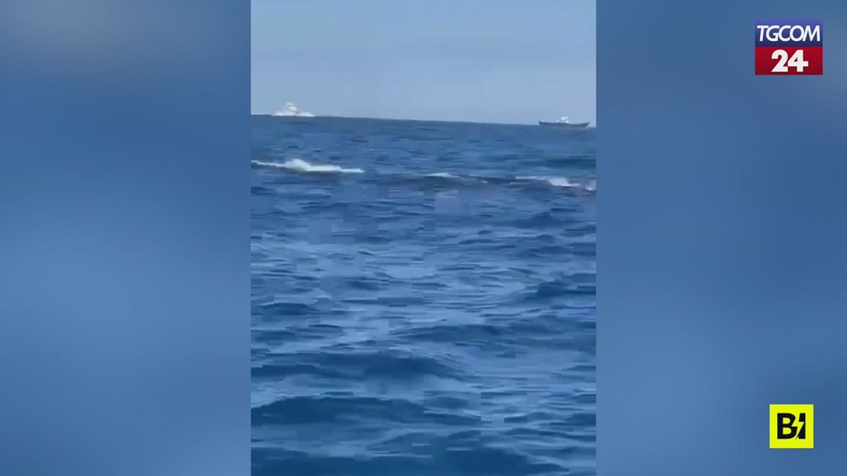 Ischia, lo spettacolo delle balenottere che nuotano a pochi metri dalla spiaggia