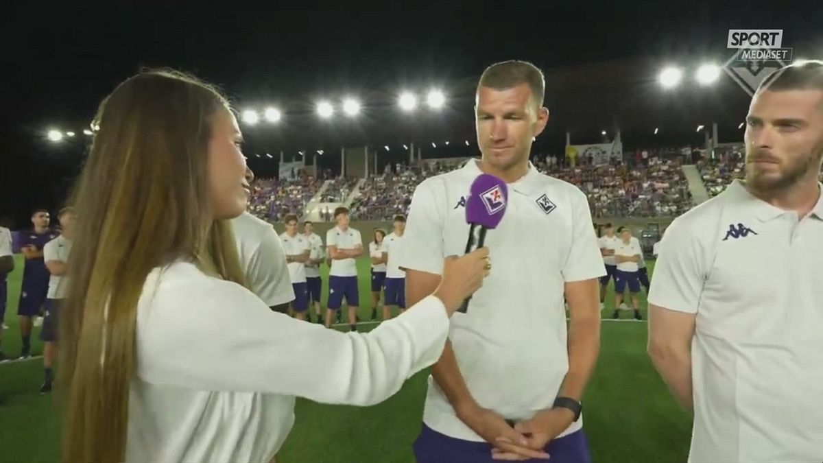 DICH DZEKO VIOLA PARK 14/7 DICH