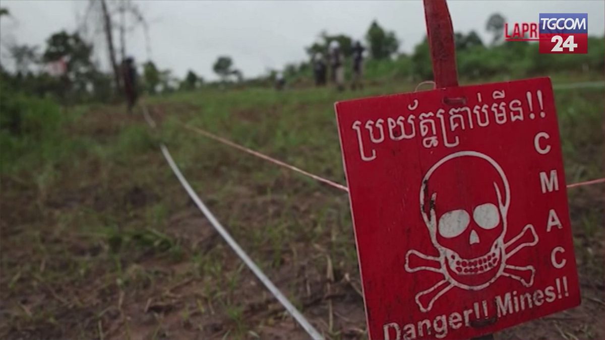Cambogia, i ratti giganti "fiutano" le mine antiuomo