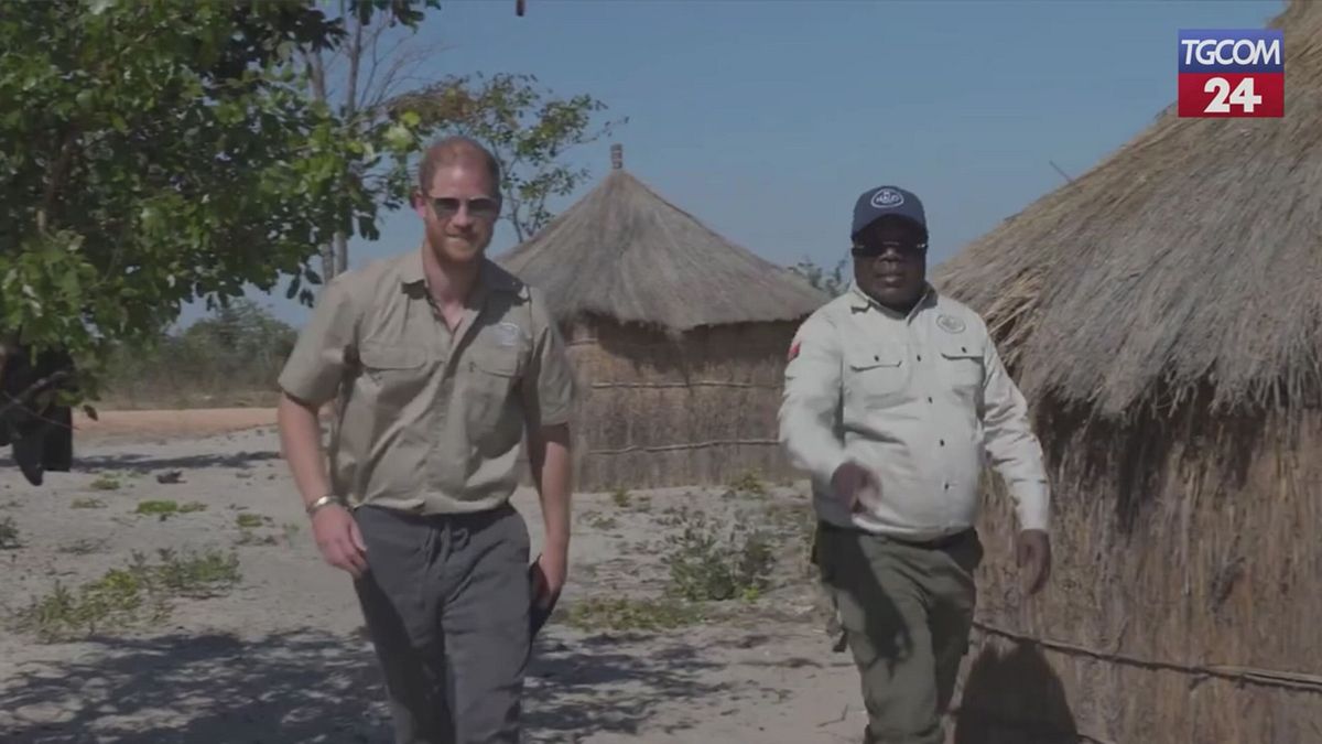Harry come la madre Diana attraversa un campo minato in Angola