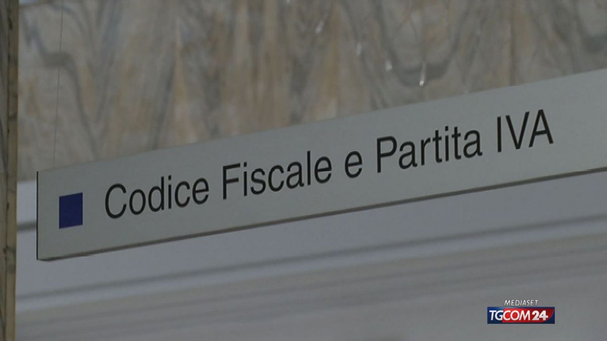 12.00 PARTITE IVA, NUOVA SANATORIA SRV