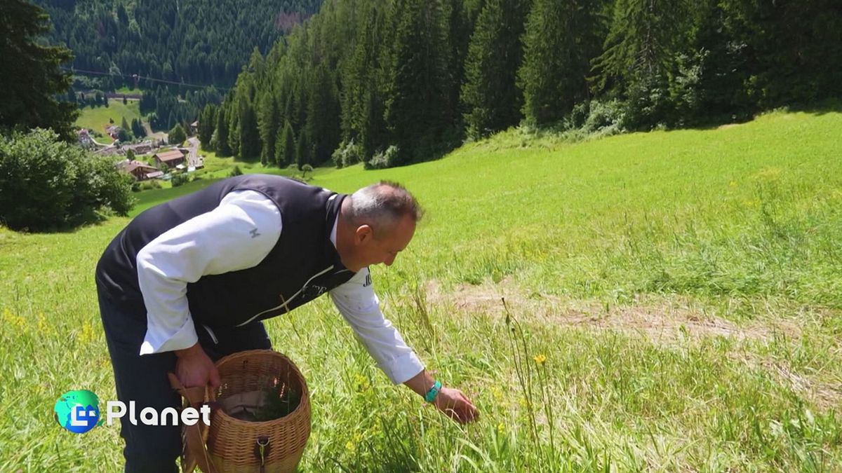 I sapori della montagna