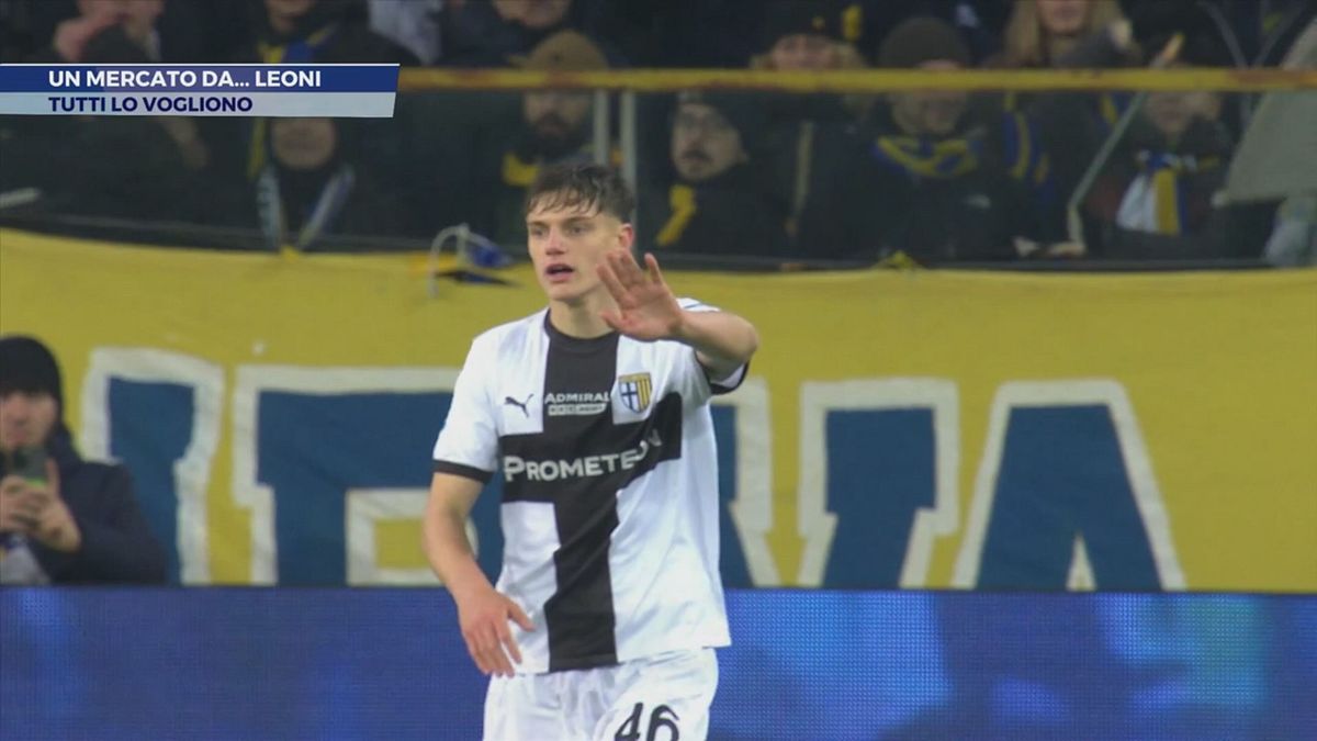 Un mercato da..Leoni