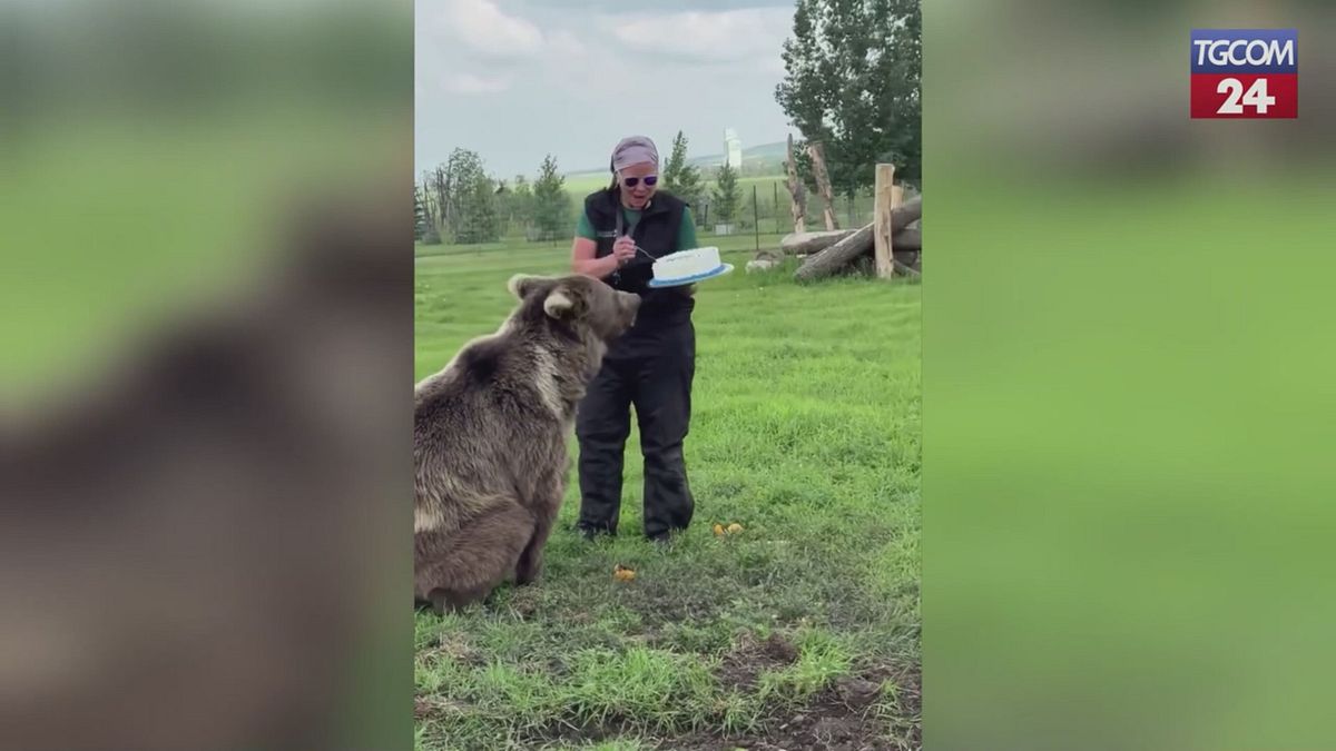 Festa al Discovery Wildlife Park, l'orso Berkley compie 8 anni... e mezzo