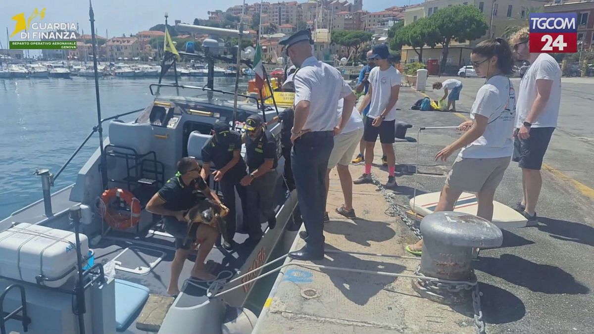 Sanremo, tartaruga in difficoltà salvata in mare dalla GdF