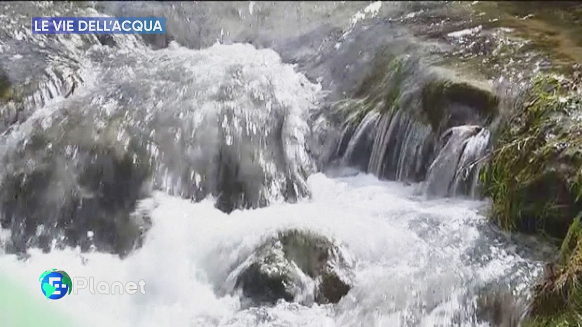 Dov'è l'acqua?
