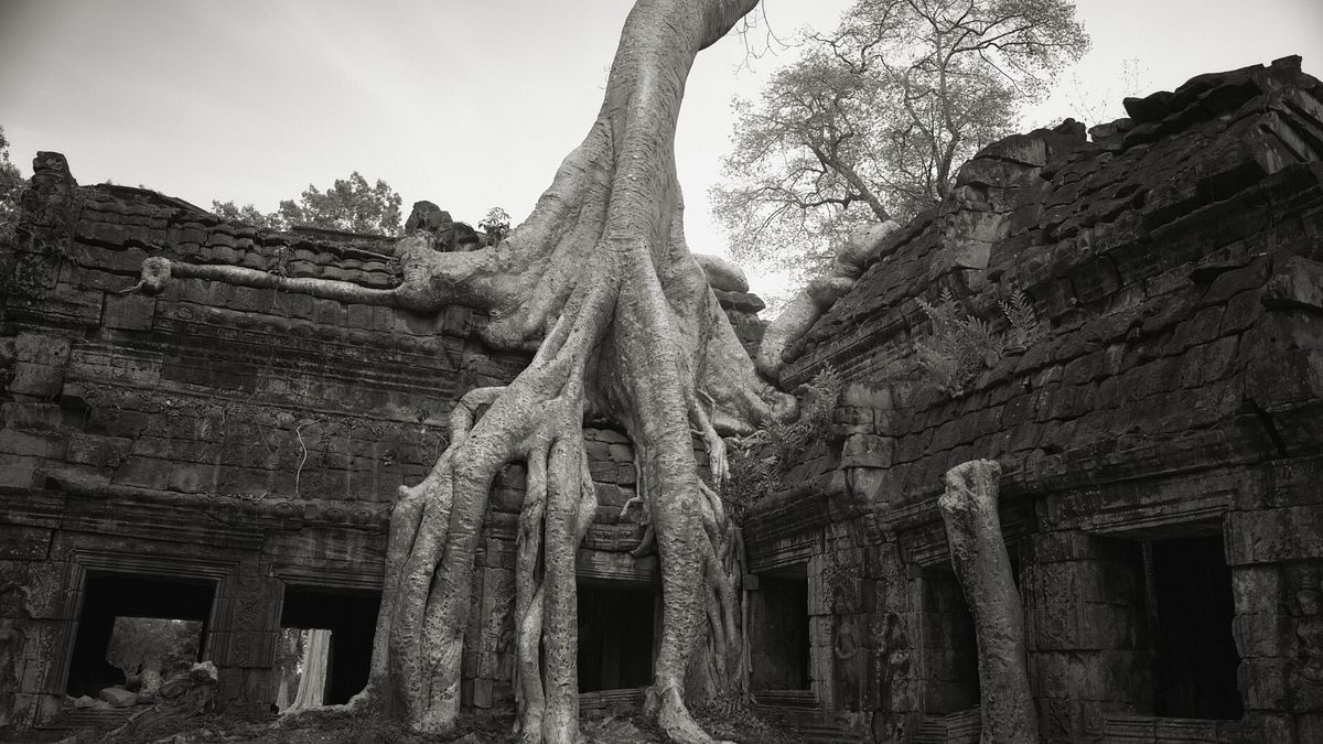 Angkor, Cambodia, 1993 - ph Kenro Izu