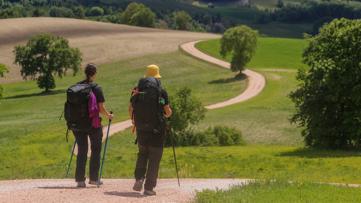 Collina dei ciliegi - Comune di San Severino Marche 