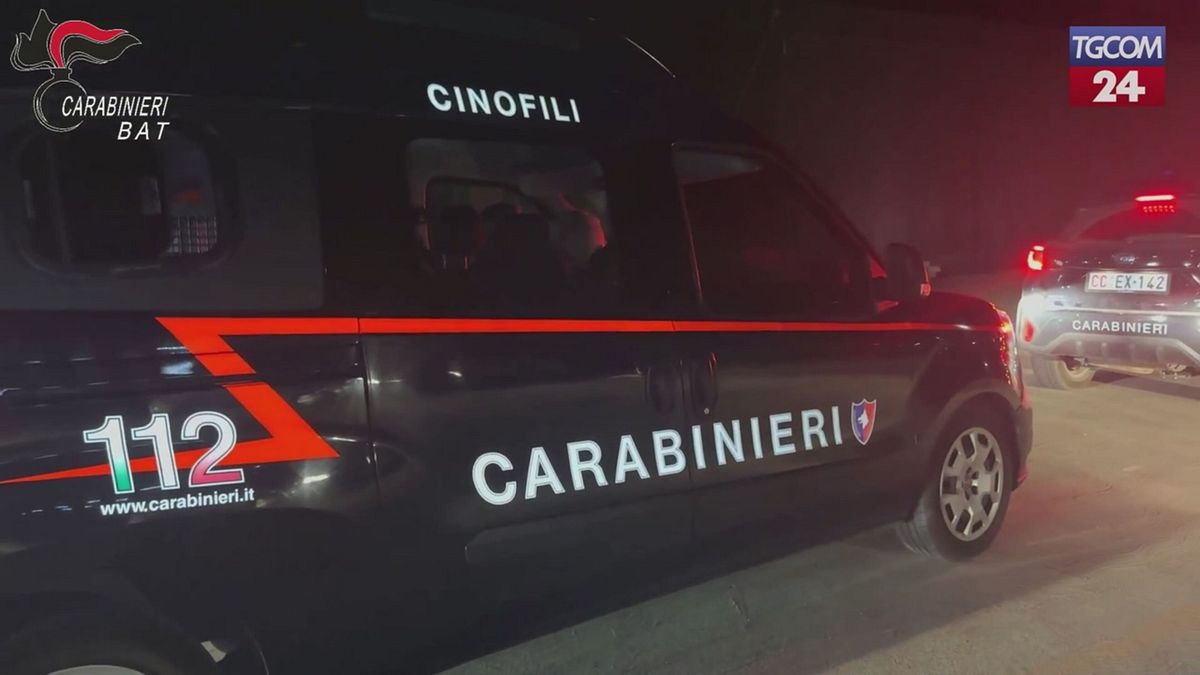 Droga e tentato omicidio,11 misure cautelari in Puglia: le perquisizioni