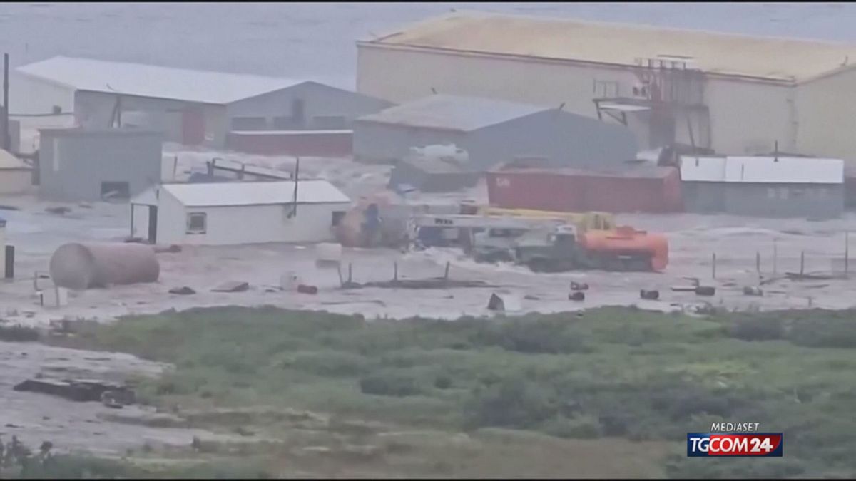 12.00 PROFEZIA TSUNAMI SRV