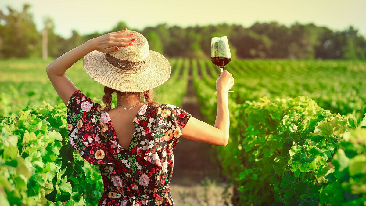 vino estate