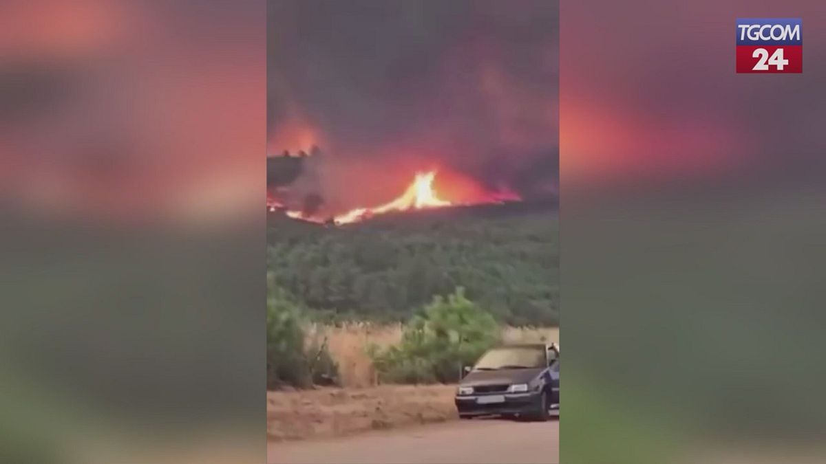 Portogallo, incendio a Vila Real: nube pirocumulo visibile a chilometri di distanza