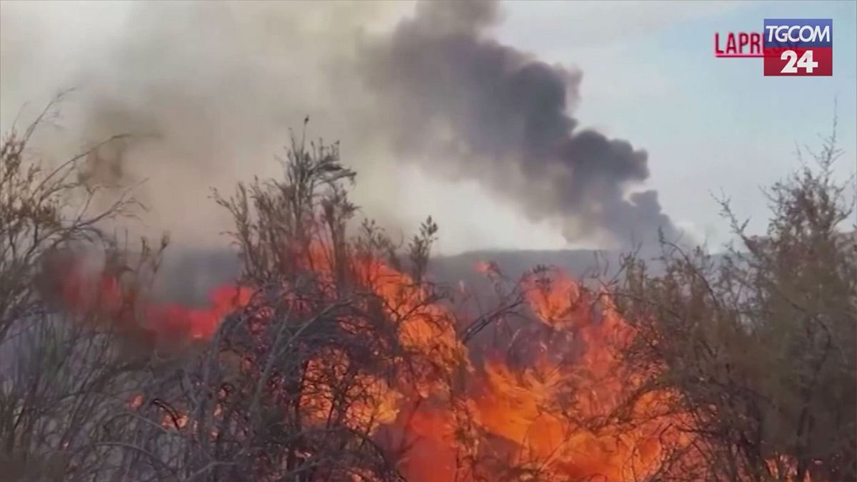 Usa, incendio fuori controllo nella California centrale