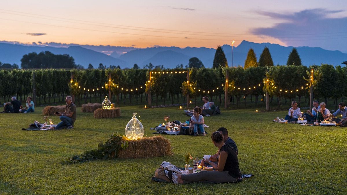 Pic nic in vigna - ph Fabrice Gallina