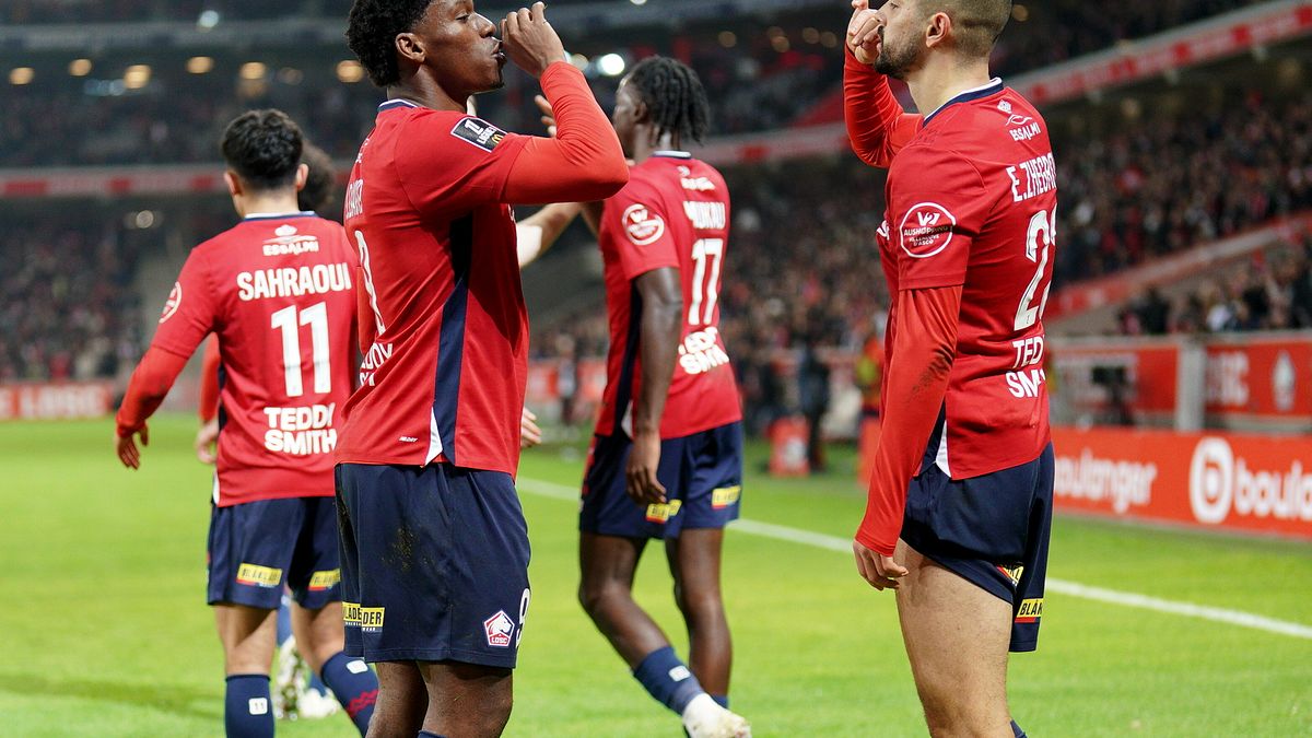 David e Zhegrova al Lille