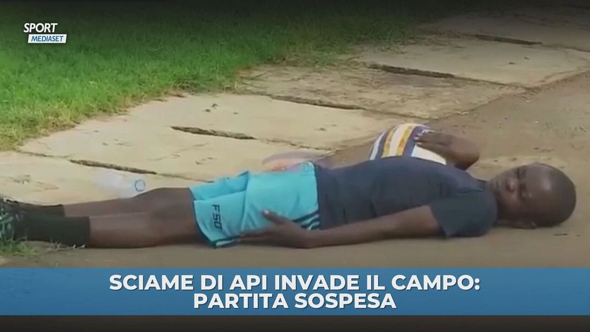 Sciame d'api blocca una partita