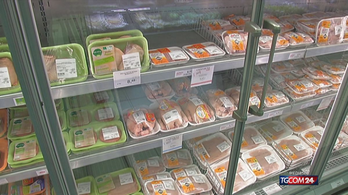 12.00 UE, NO ALLA CARNE SINTETICA SRV