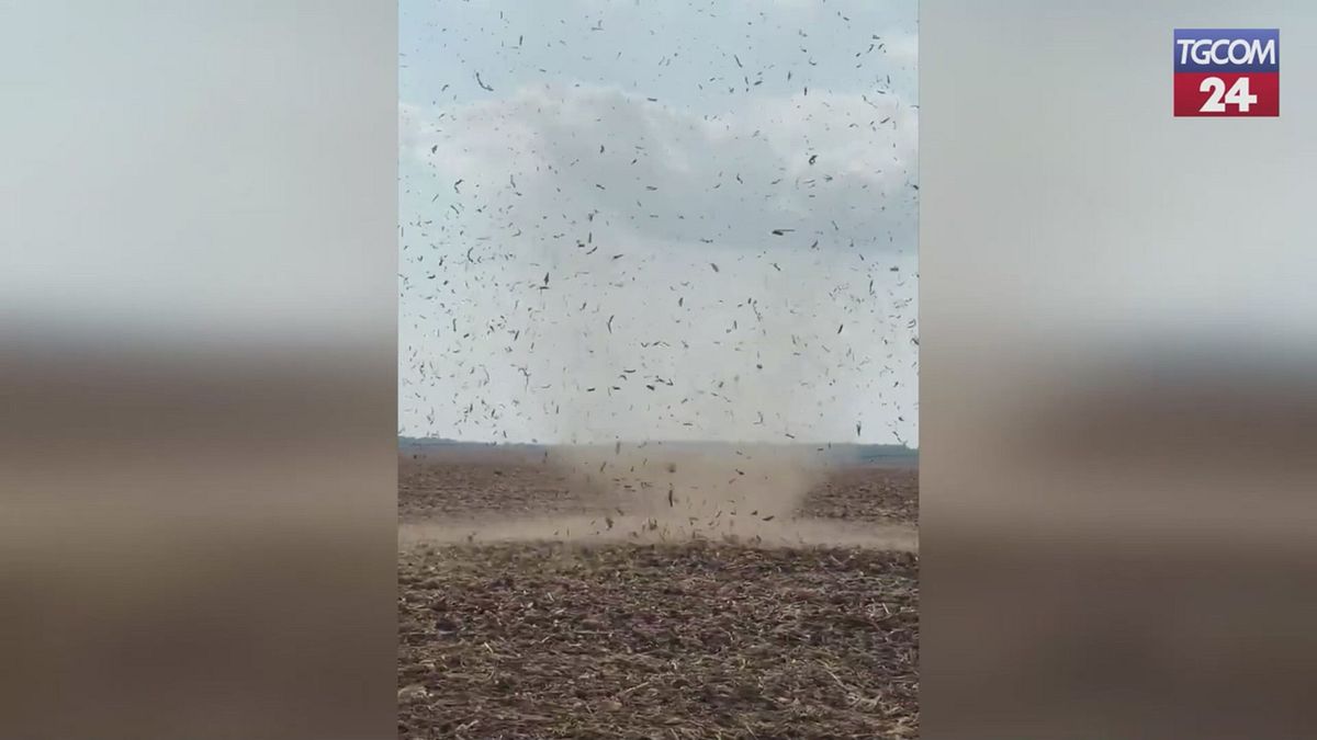 Usa, lo strano spettacolo del tornado in un campo di mais