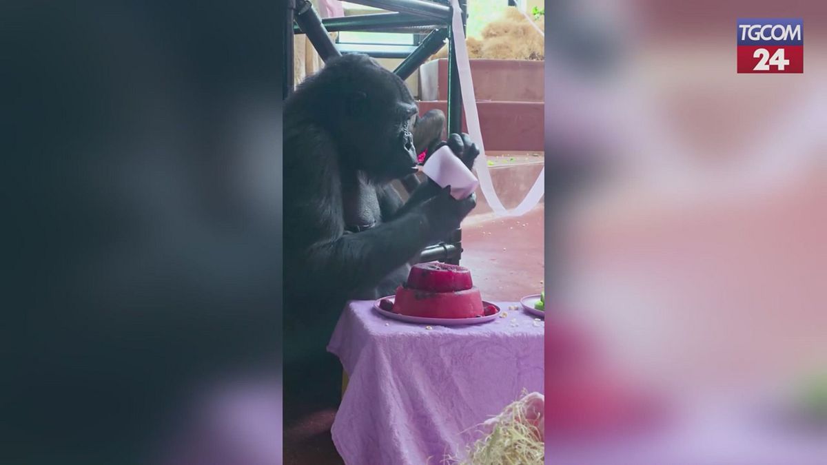 Giornata di relax per le gorilla: festa di compleanno a tema spa