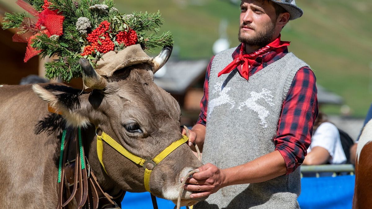 Alpen Fest