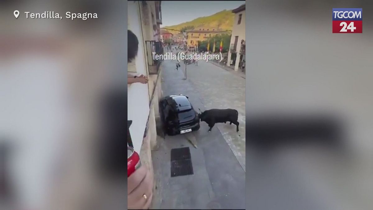 Spagna, toro imbizzarrito carica un'auto in città: il video è virale