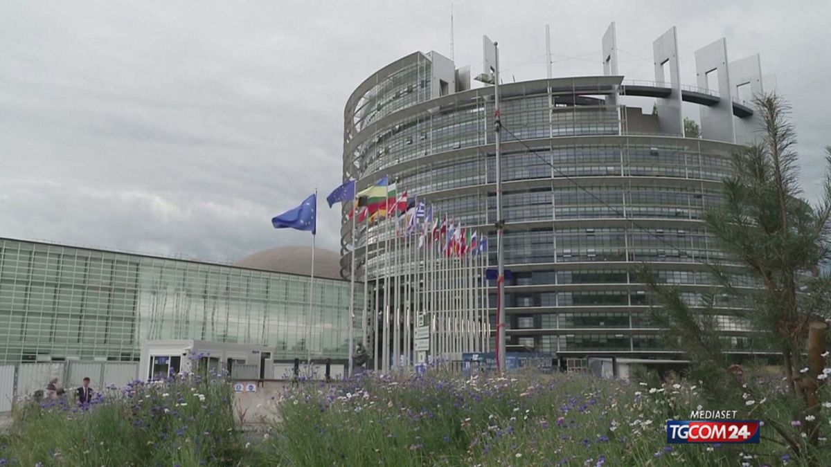 12.00 INTELLIGENZA ARTIFICIALE APPROVATA LA LEGGE SRV