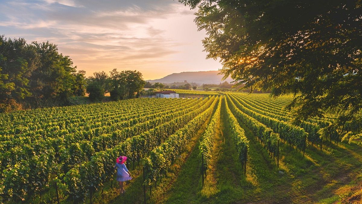 Franciacorta - ph Michele Rossetti