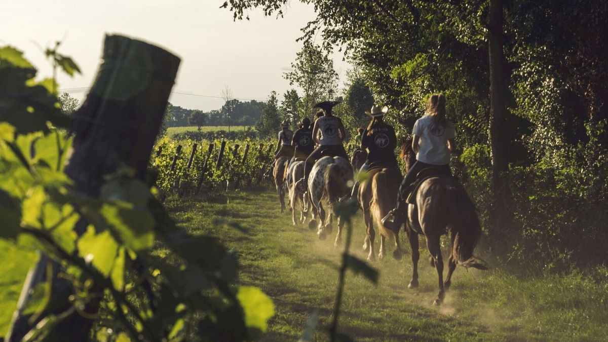 Consorzio Tutela Lugana Doc