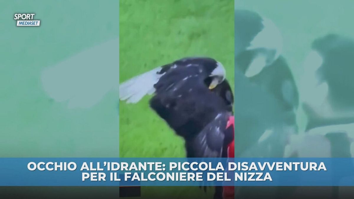 Attenzione all'irrigatore
