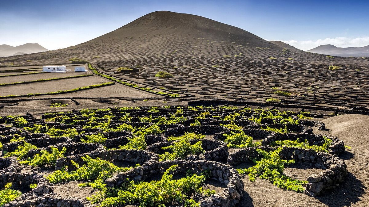 La Geria, Lanzarote, Isole Canarie