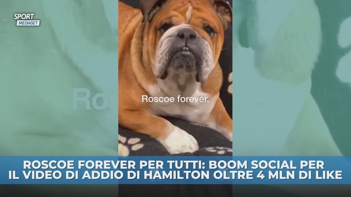 L'addio a Roscoe fa il giro del mondo
