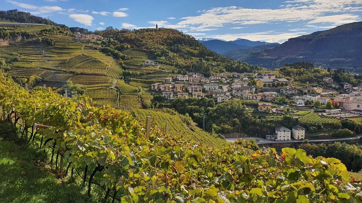 Valle di Cembra - ph Stefania Casagranda