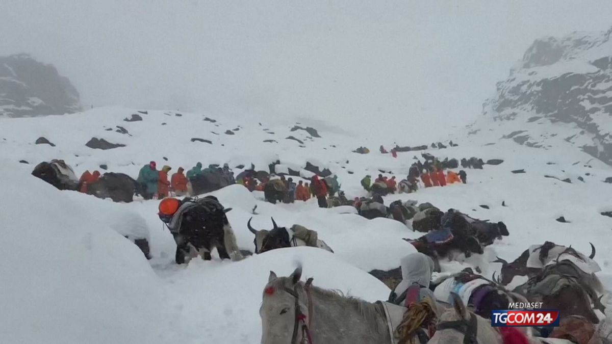 everest per sito SRV