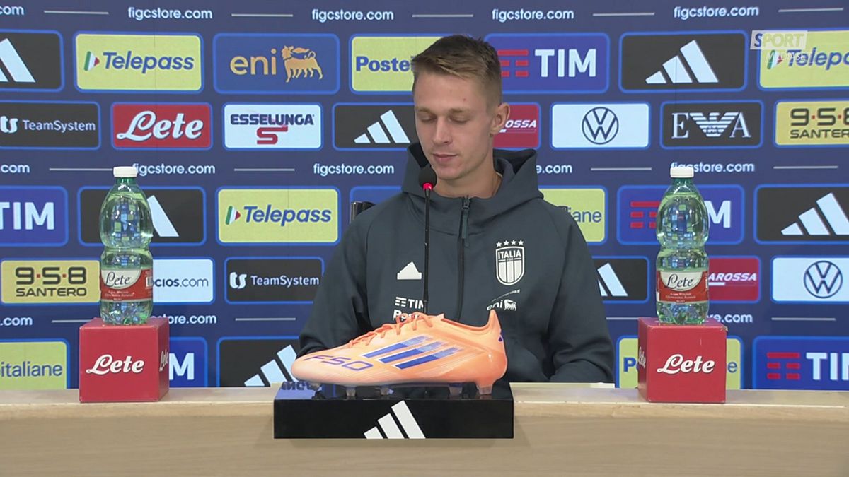 DICH NICOLUSSI CAVIGLIA SPIEGA IL MONDO 8/10  DICH