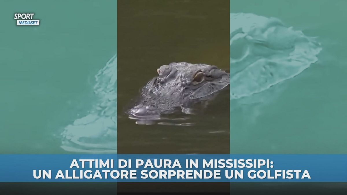 Paura in Mississippi: incontro tra golfista e alligatore