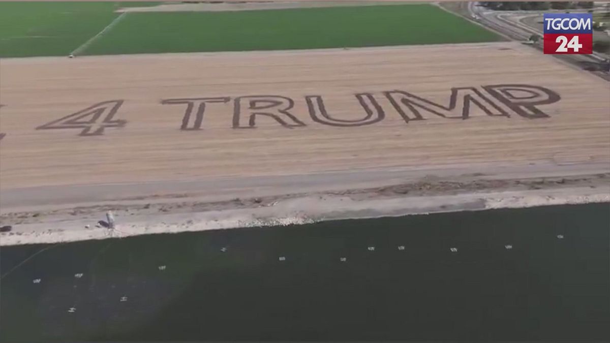 "Nobel 4 Trump", la scritta fatta comparire su un campo da un contadino israeliano