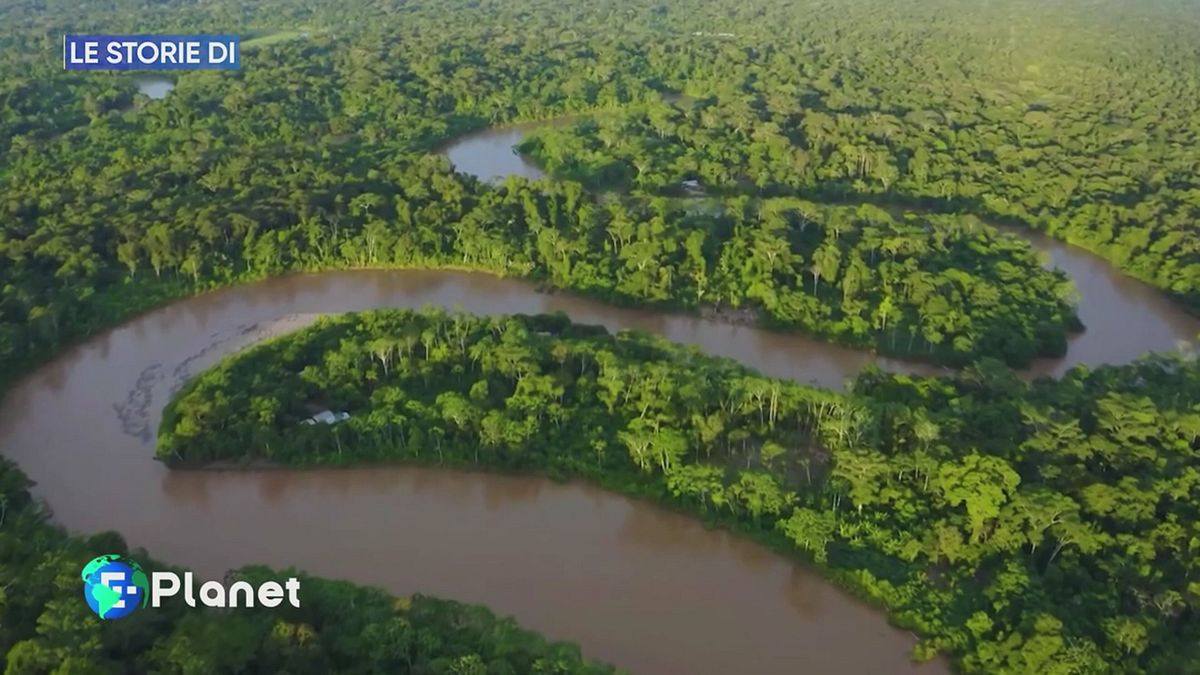 La perdita della natura intorno a noi