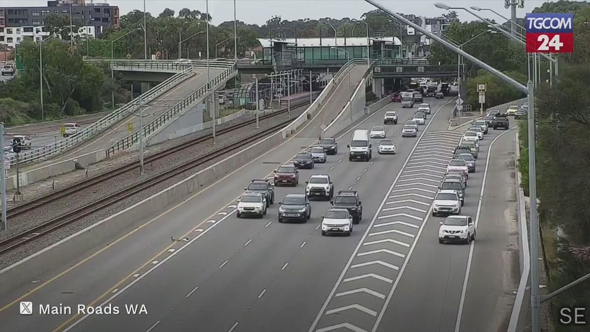 Australia, anatre bloccano il traffico su un'autostrada a Perth