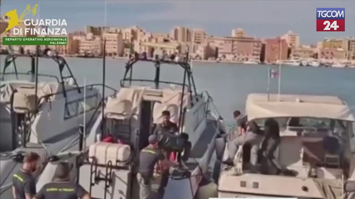 Traffico illegale di corallo rosso: sequestrati 700 kg nel canale di Sicilia