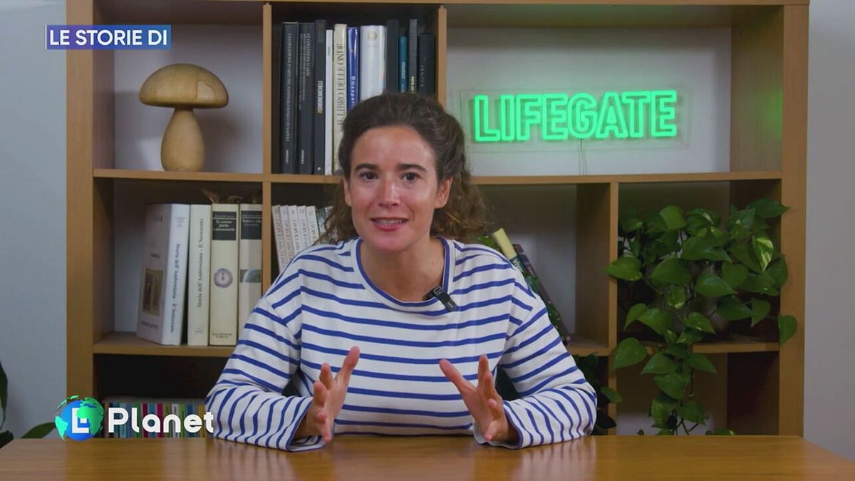 Le storie di LifeGate
