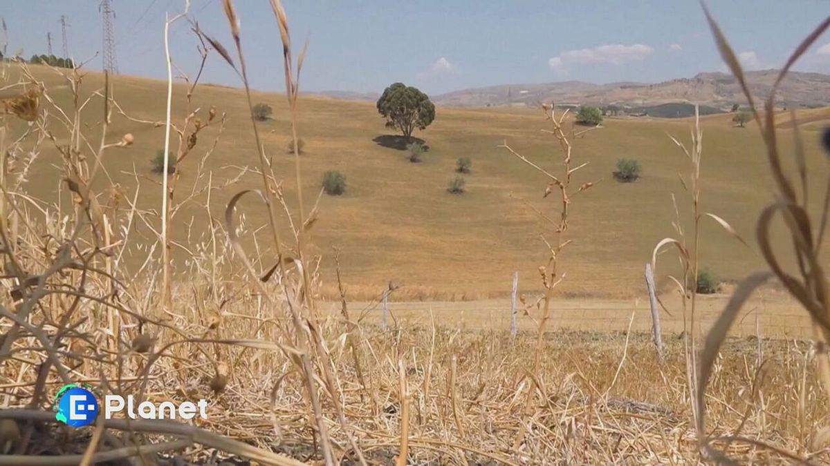 Puntata del 19 ottobre