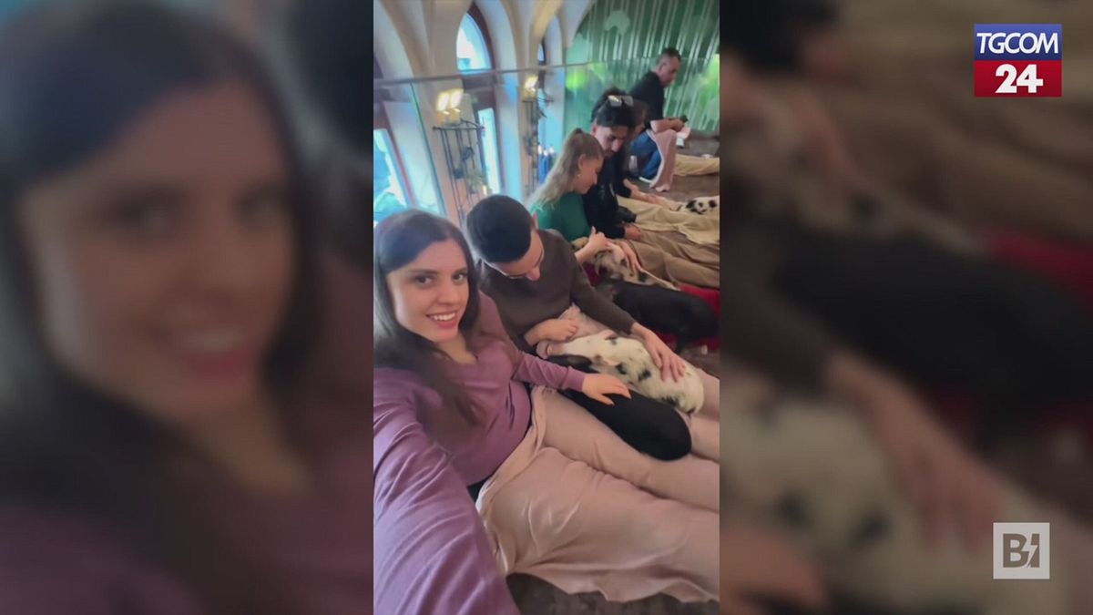 La pet therapy che non ti aspetti: a Budapest la prima caffetteria con maialini d'Europa