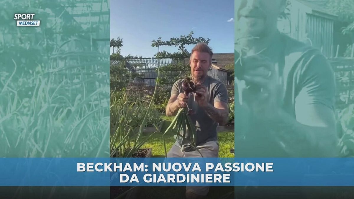 Beckham futuro da giardiniere