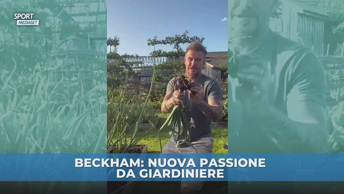 Beckham futuro da giardiniere