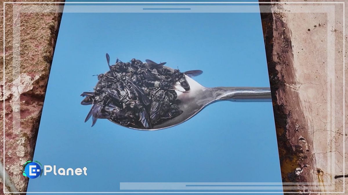 Riflettere con la fotografia