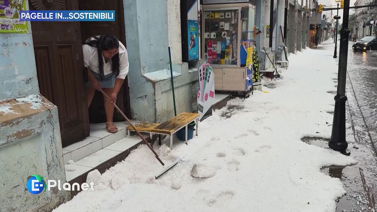 Pagelle in...sostenibili di fine ottobre