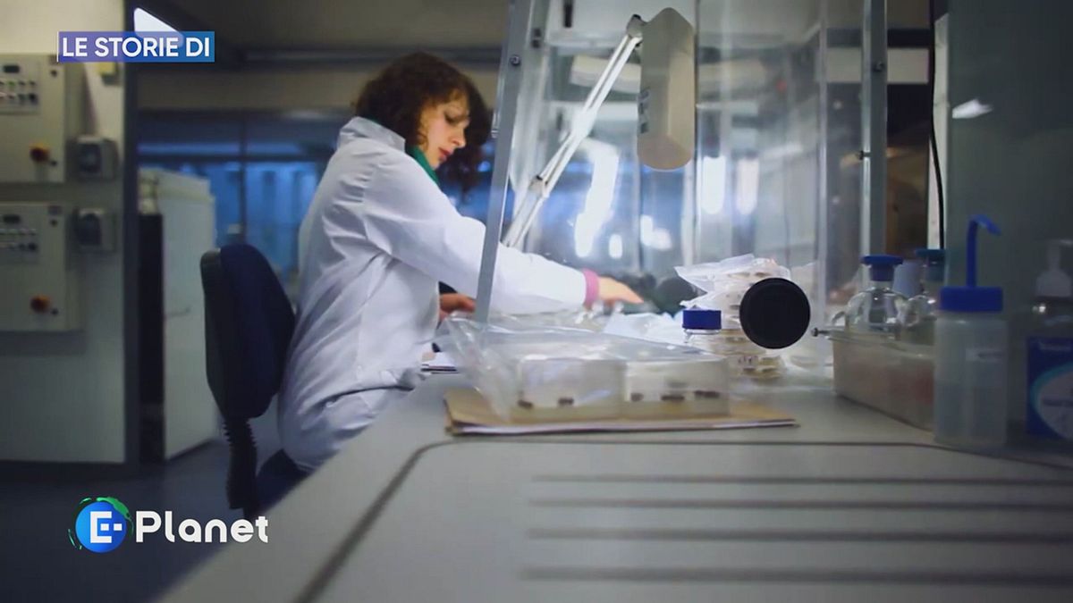 La Millennium Seed Bank