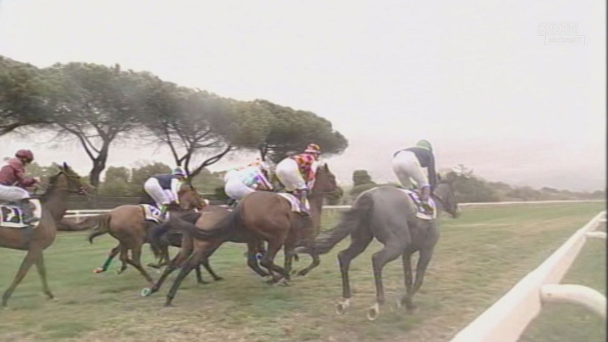 MCH CAVALLO ALLEGRI VINCE MCH